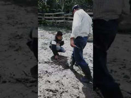 OKM Evolution NTX OKM Evolution NTX